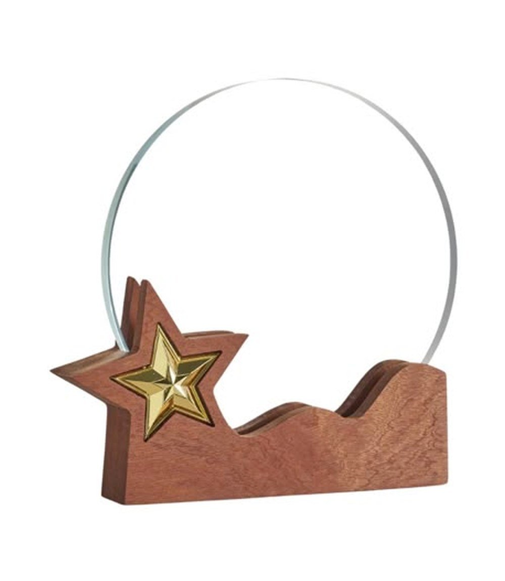 Crystal trophy award